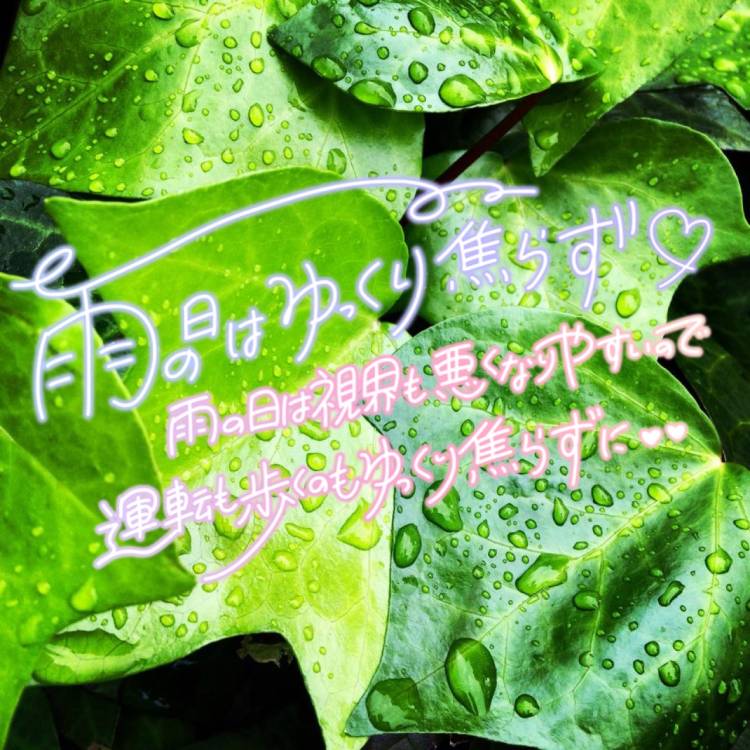 明日明後日はお休みです𓏸︎︎︎︎⁡𓈒 𓂃🐌