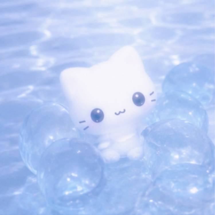 🩵‎🤍