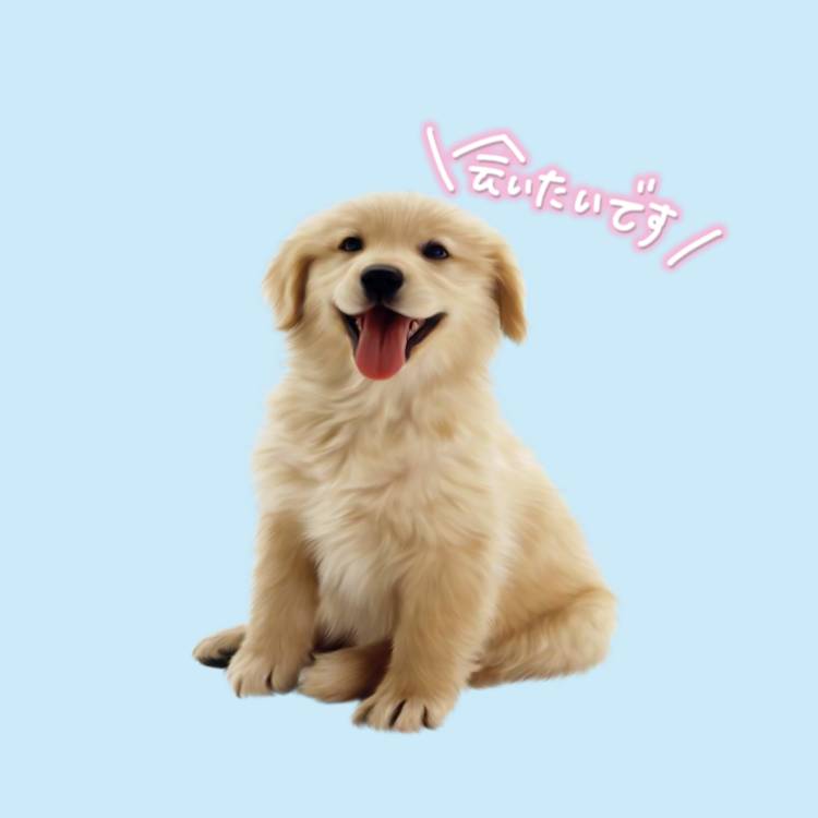 これから😽