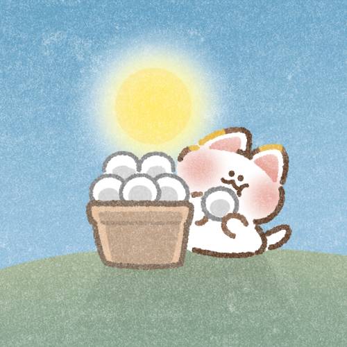 今週は🎀今日がラストです❣️❣️