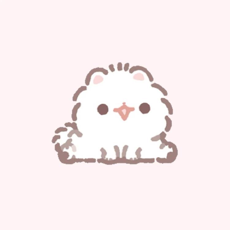 います
