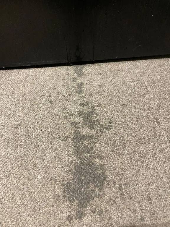 問:1 この写真はなんでしょう