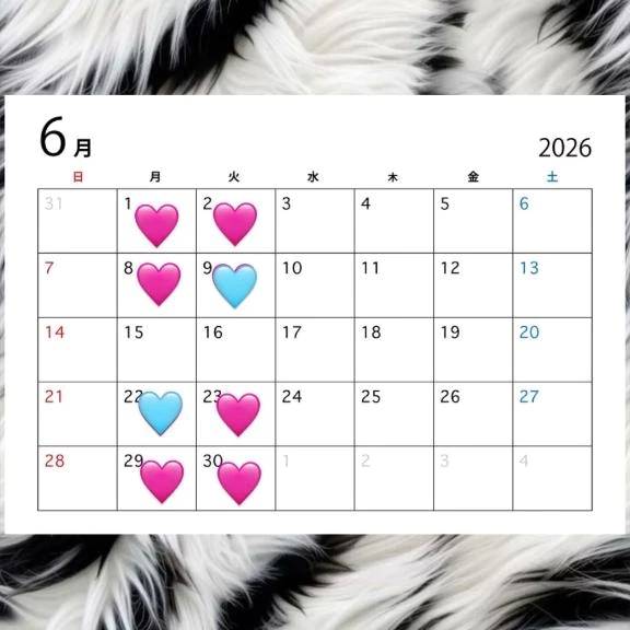 6月出勤予定🗓️❣️