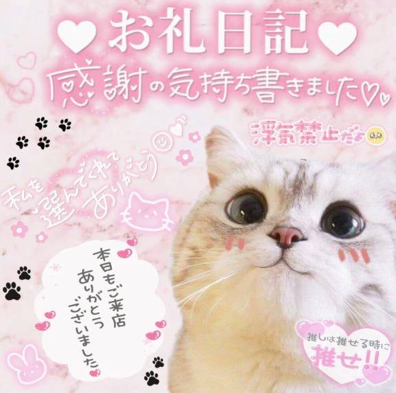 【💌 𝗛𝗢𝗧𝗘𝗟 205のお兄様 💭】
