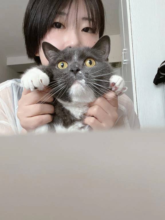 🐱✨