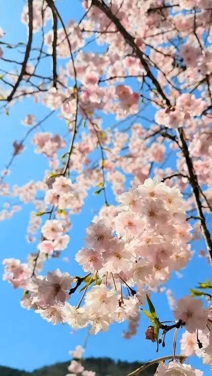 久しぶりに明日から出勤します🍀