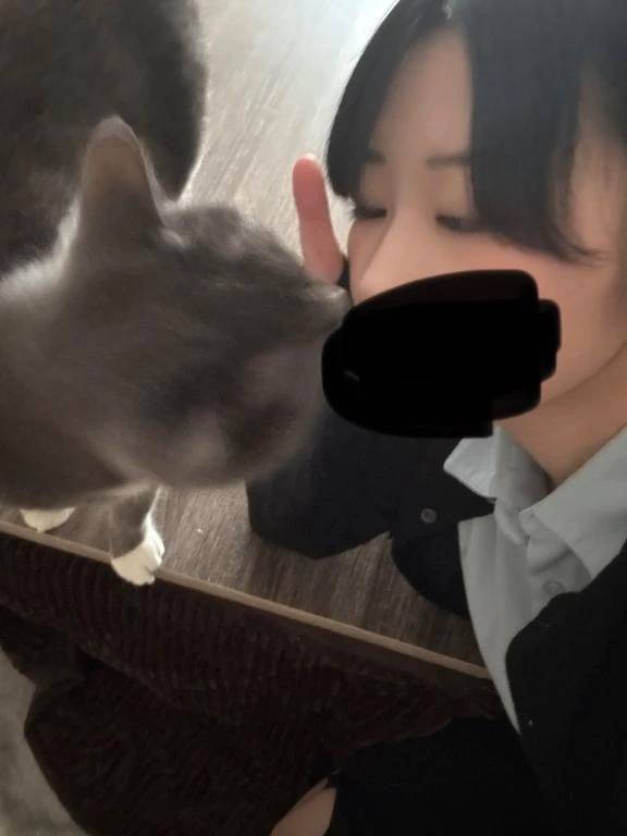 こんにちはー