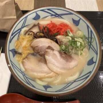 豚骨うどん