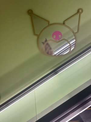 今日います！