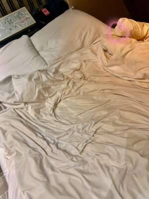 今日もありがとうございました?