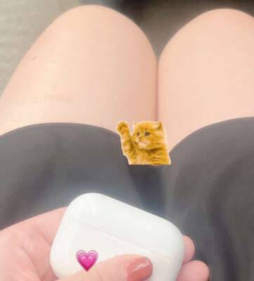 帰省ちゅ??