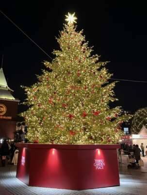 イルミネーション?