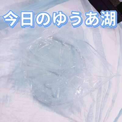 コンパクトビニール桶でお潮