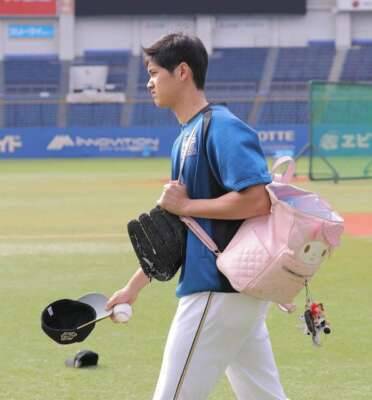 マイメロ大谷翔平