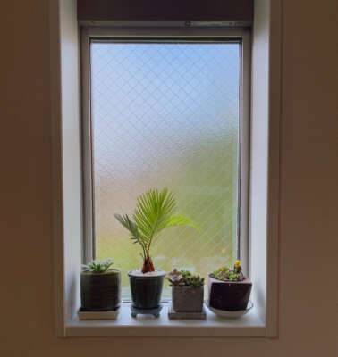 写真がなーい！