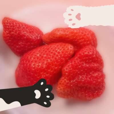 あまえんぼな日