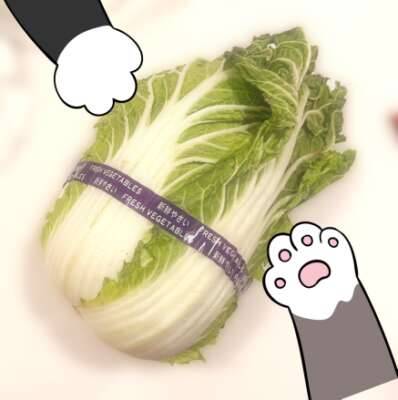 肉の日！！！！