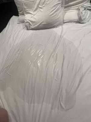 今日はいっぱいでた笑