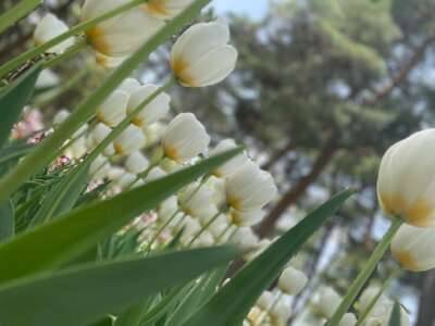 気合いでなんとか…