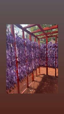 家族旅行最終章！