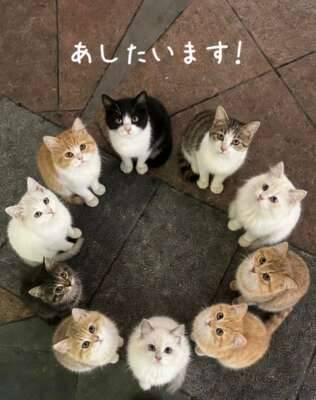 あしたいます！