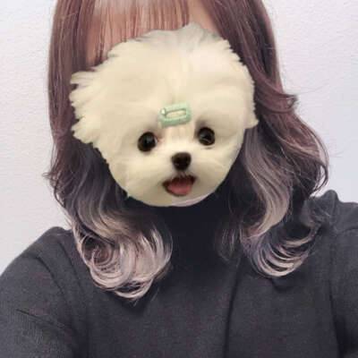 よろしくお願いします?