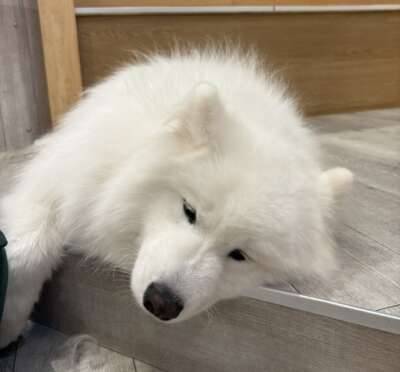 癒された1日??