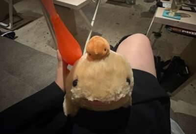 おともだち