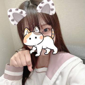 にゃーん🐱💕