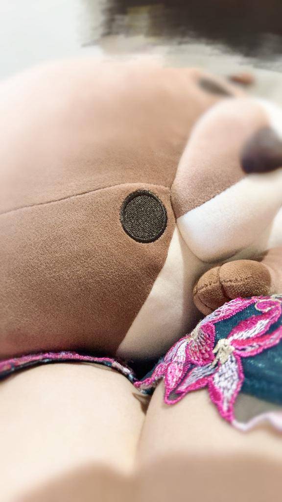 しばらくお預け😿