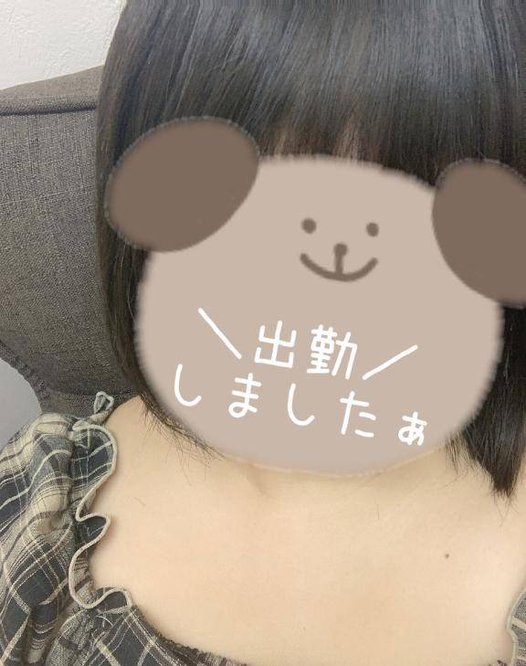 出勤しました🧸