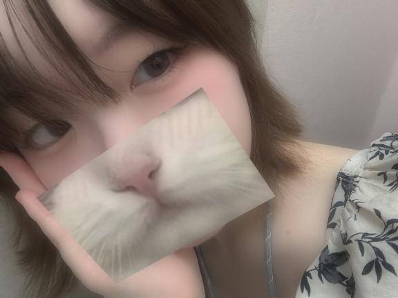 今日は学園祭！！