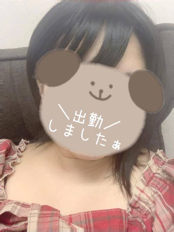 出勤🐰
