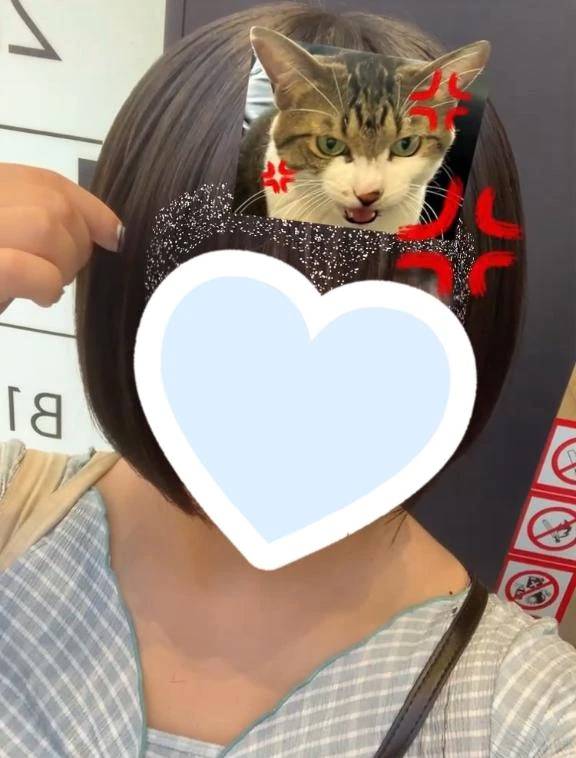 出勤しました🐰
