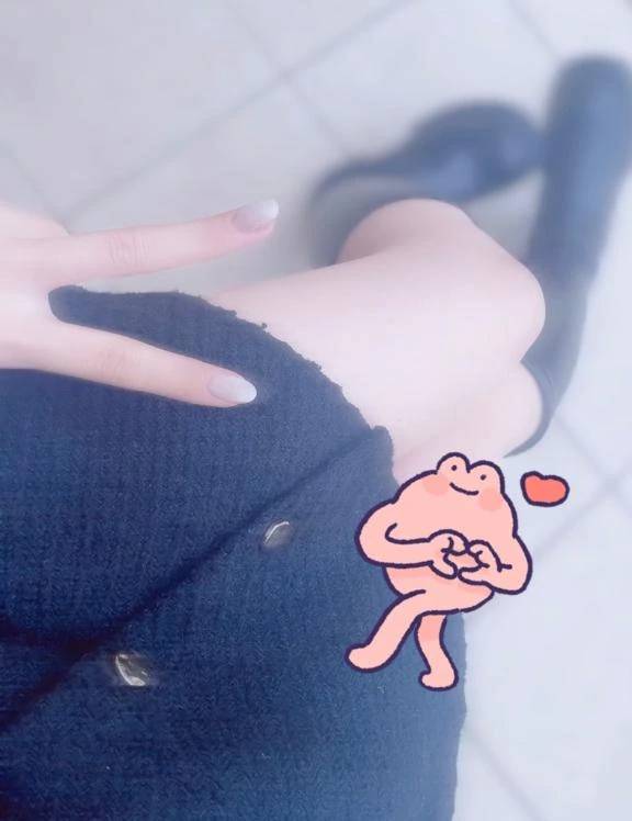 今日の予定