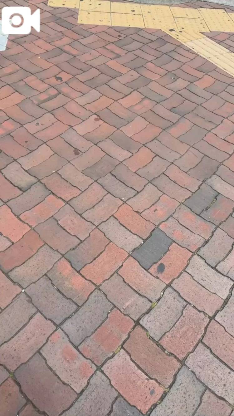 おはようございます☀️