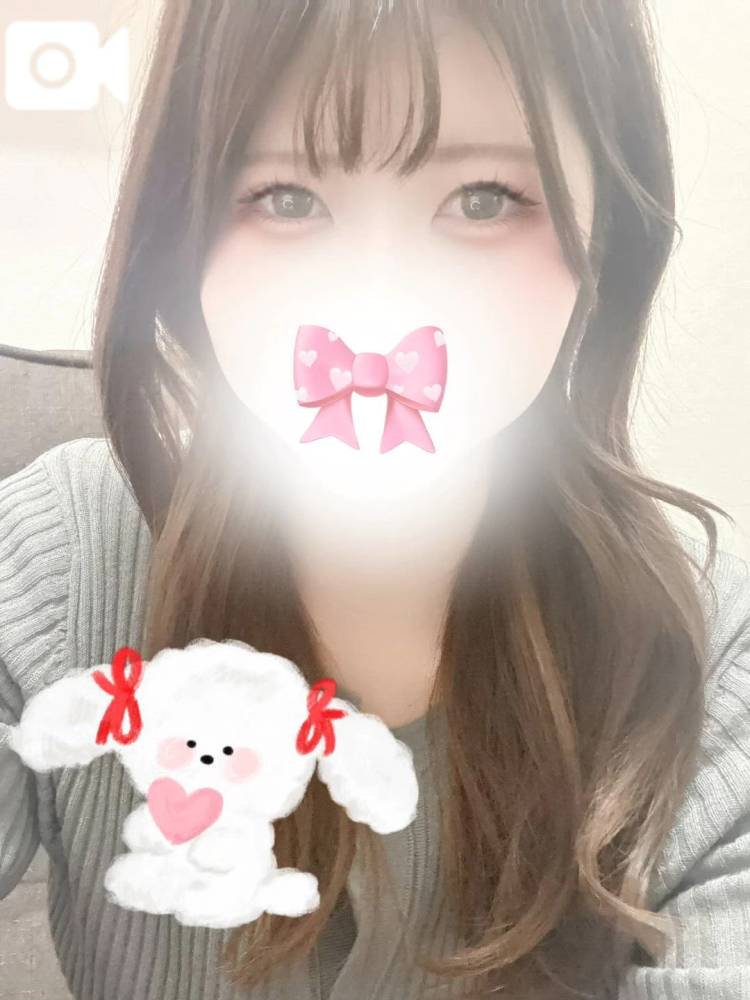 向かってます🐾