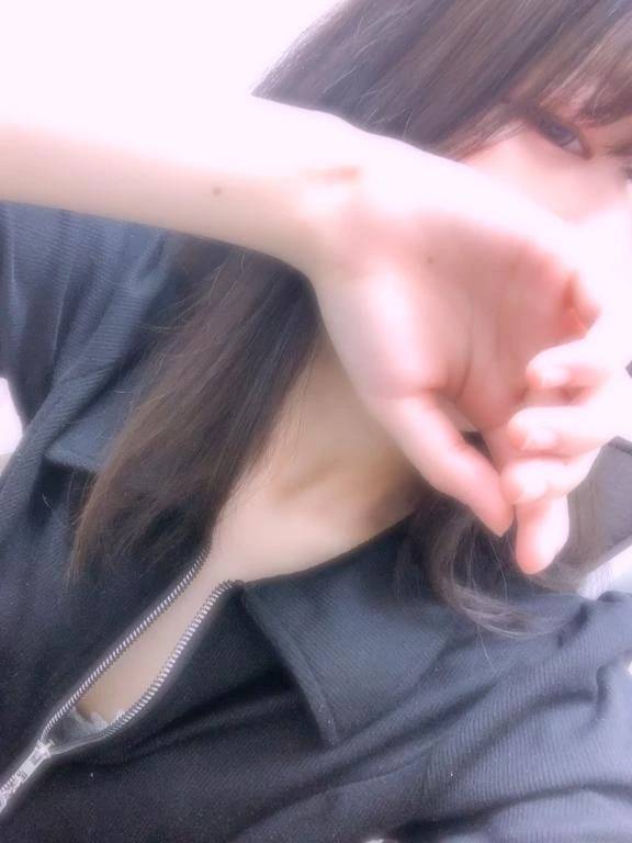 出勤です〜🐱‎🤍