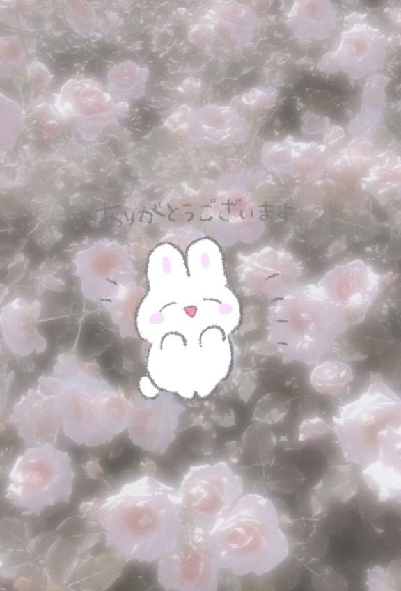 🌷ありがとう♡🌷