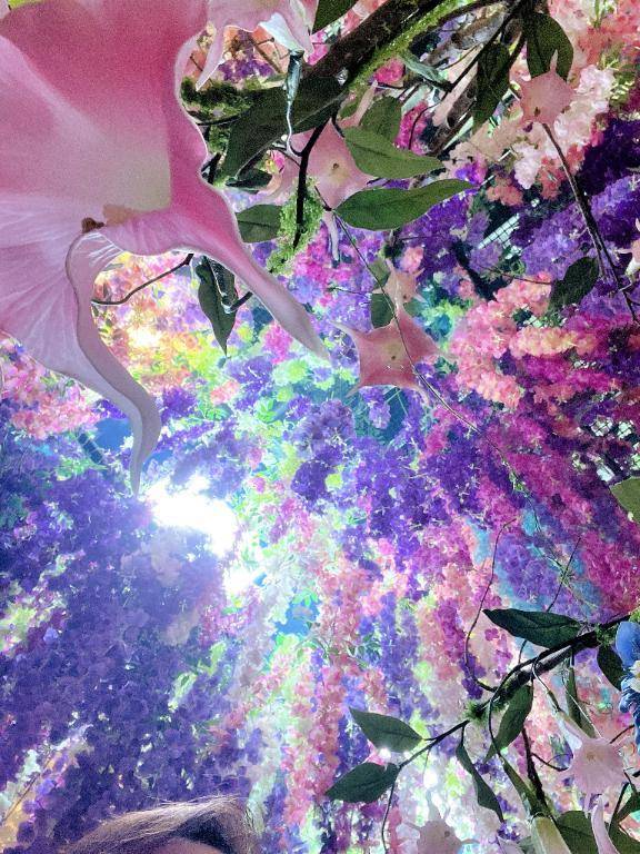 大切なご報告🌸