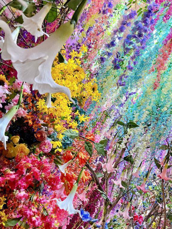 🌸明日のご予約状況🌸