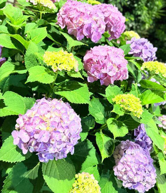 お問い合わせありがとうございます🙇‍♀️