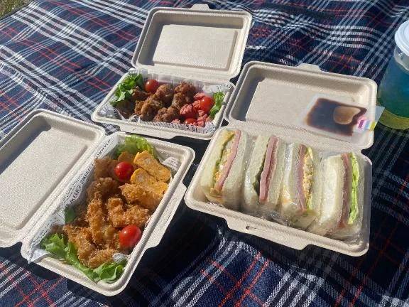 秋だからピクニックしたよー