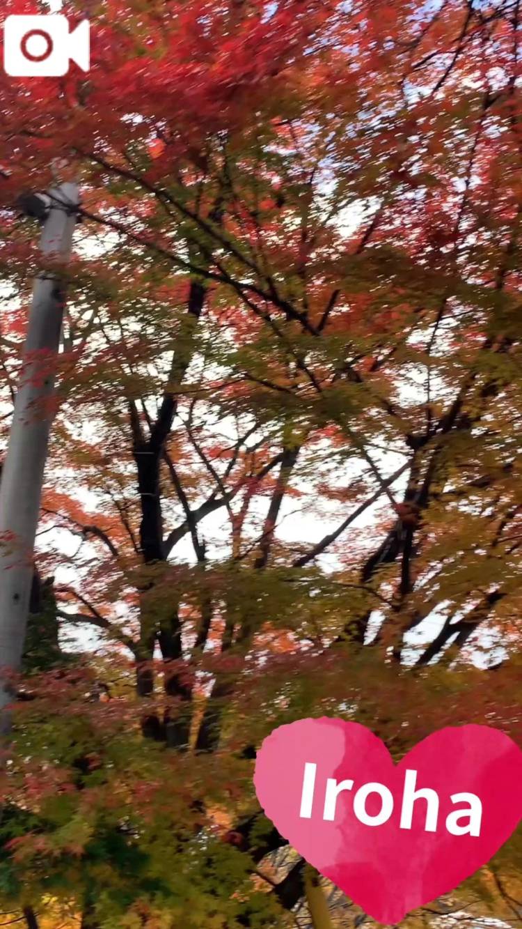 いろはです🪷【温泉ぱちゃぱちゃ♨️】