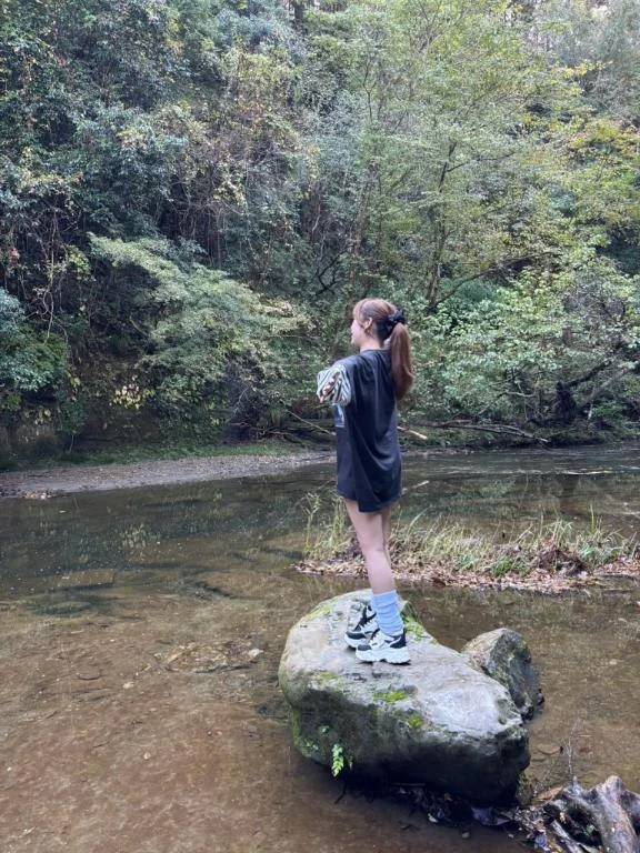 この間の休みは…🌳🌳🌳