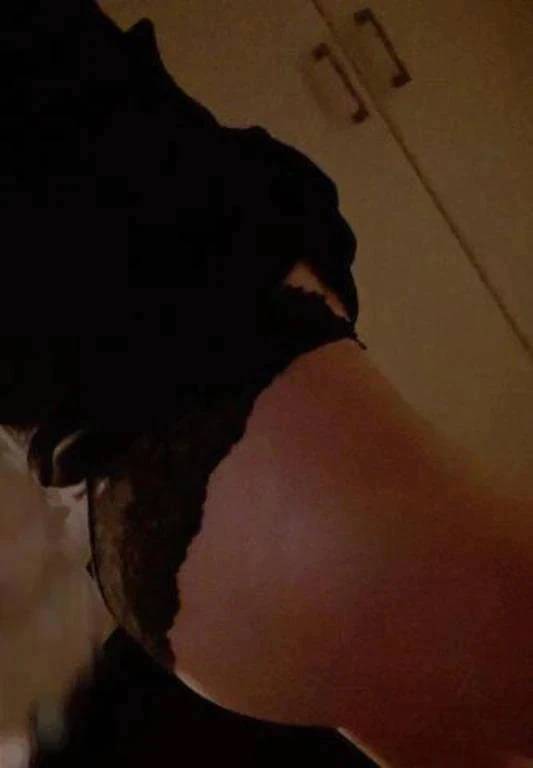 ありがとうございます