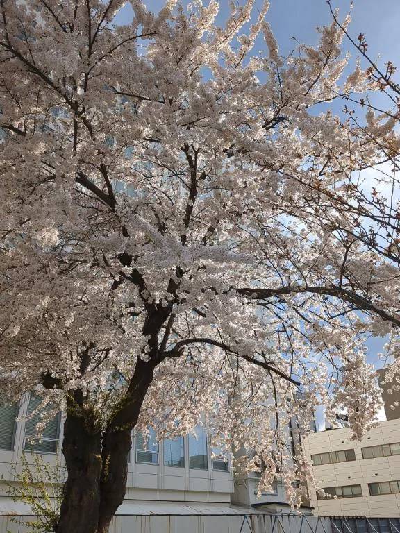 Gさんありがとう♡