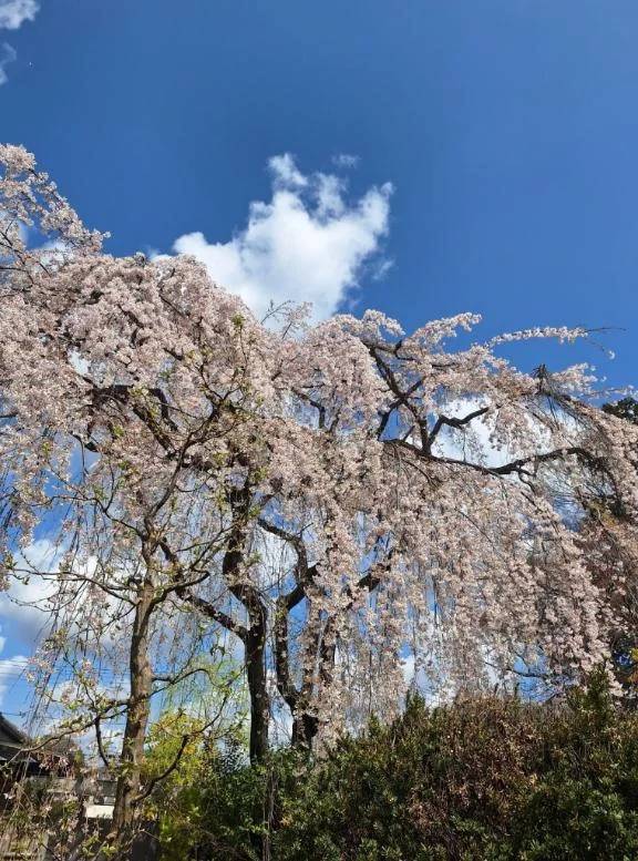出勤しました✨