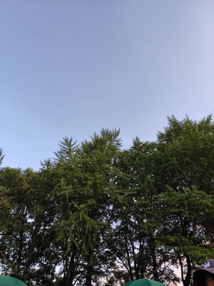台風一過