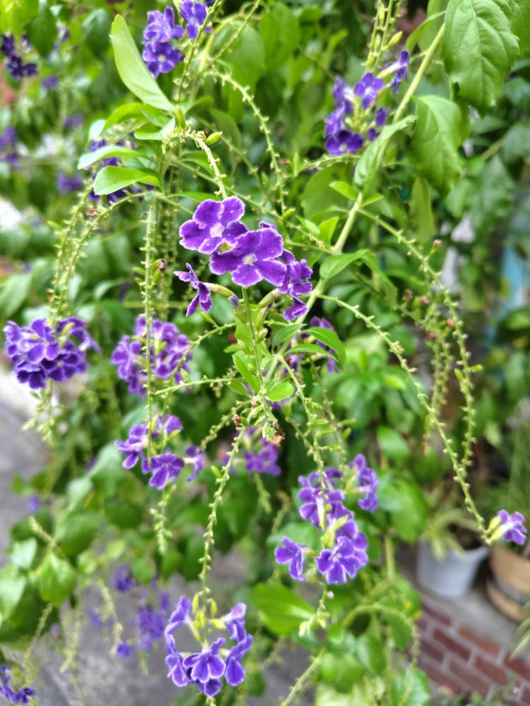 秋分の日